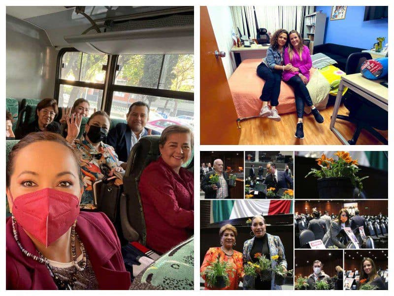 Diputados se preparan para la discusión de la reforma eléctrica