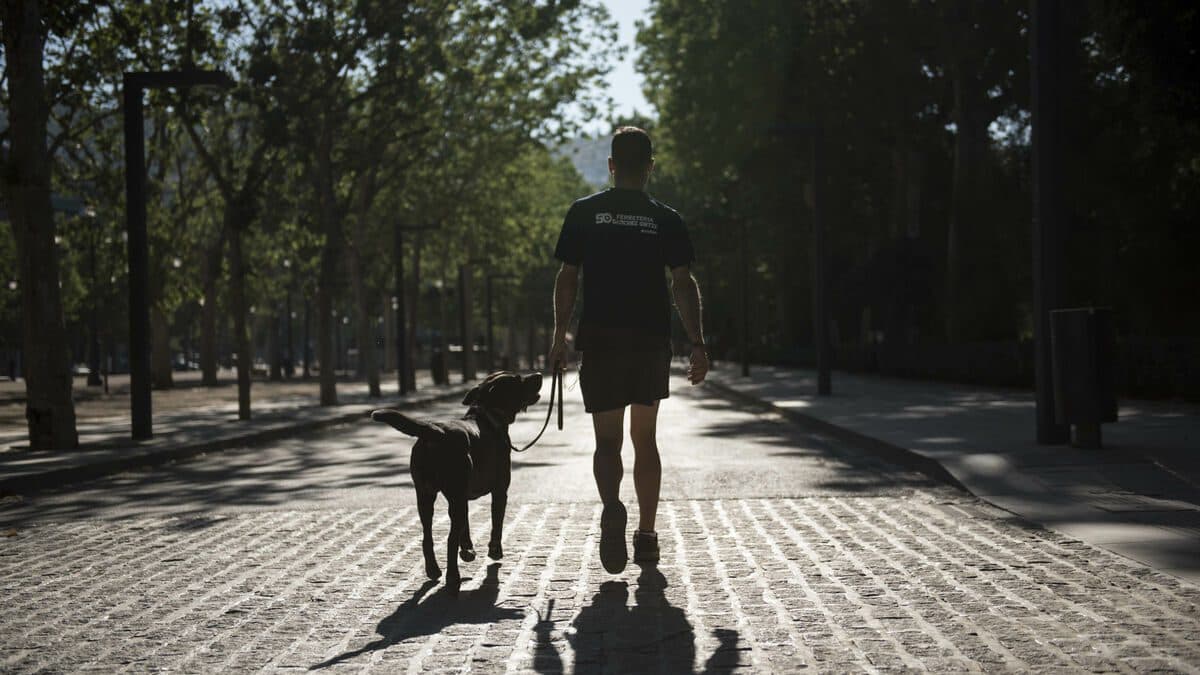 Hombre se quita la vida luego de que envenenaron a su perro