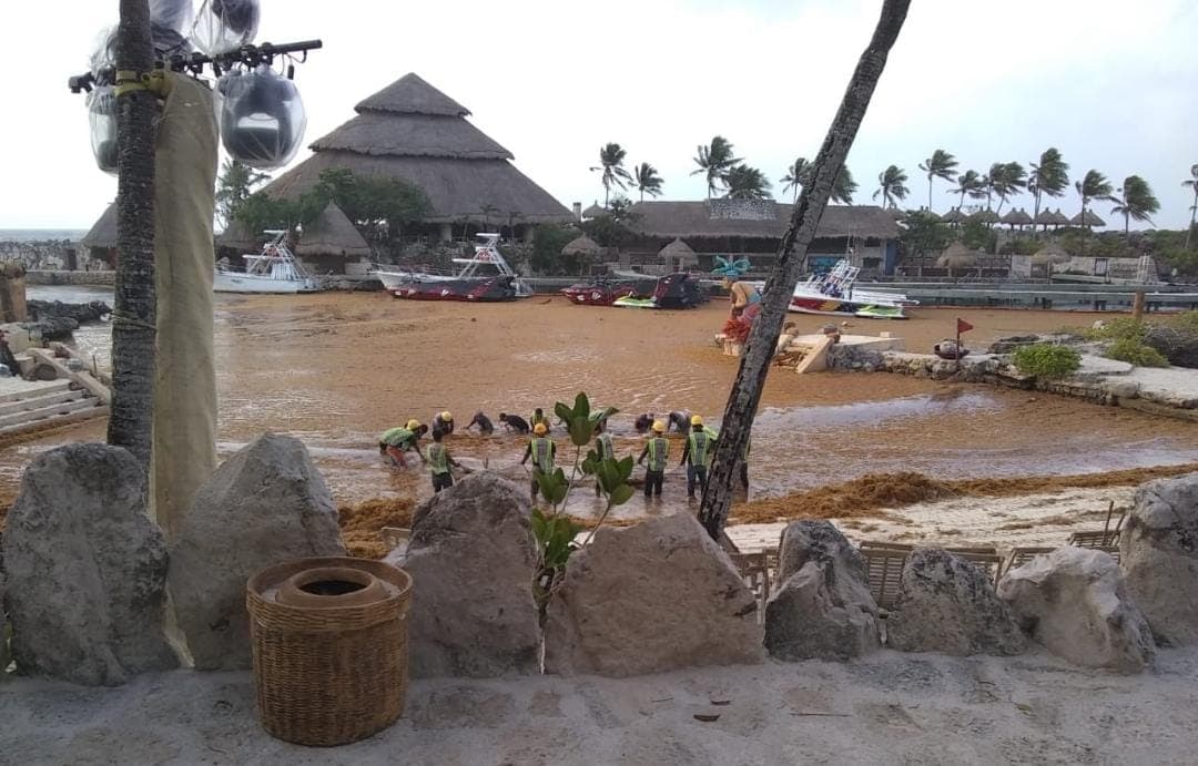 Video: Xcaret y Xel-Há lucen llenos de sargazo