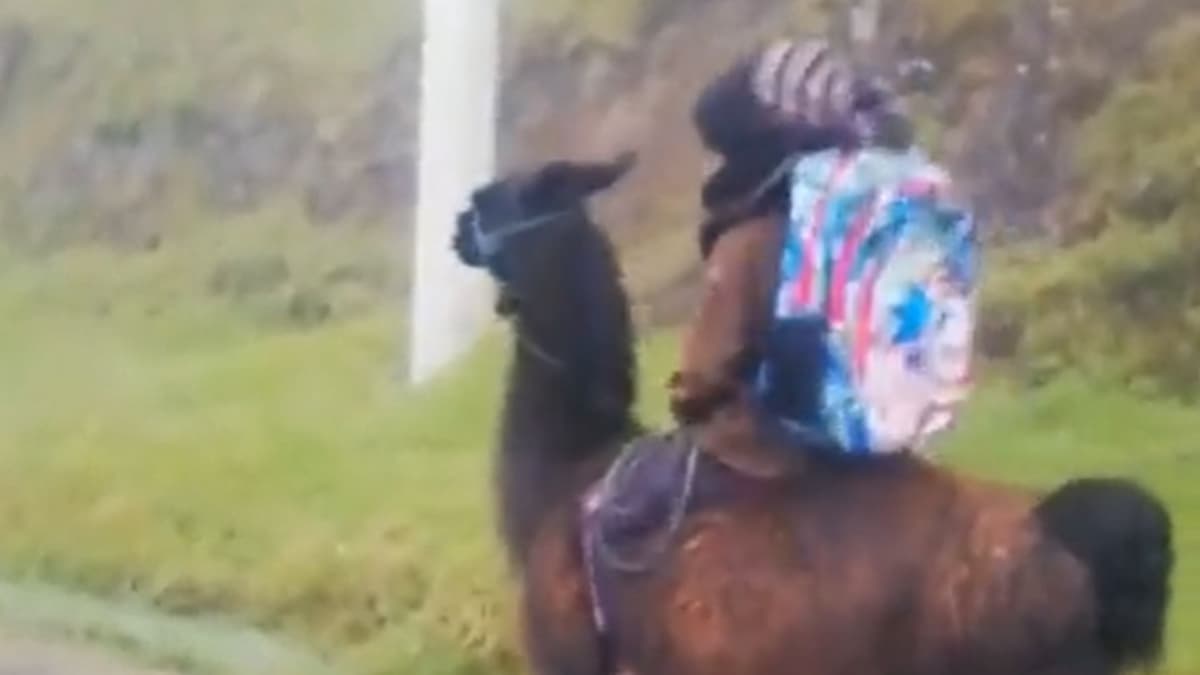 Video: Graban a menor yendo al colegio en una llama y a toda velocidad