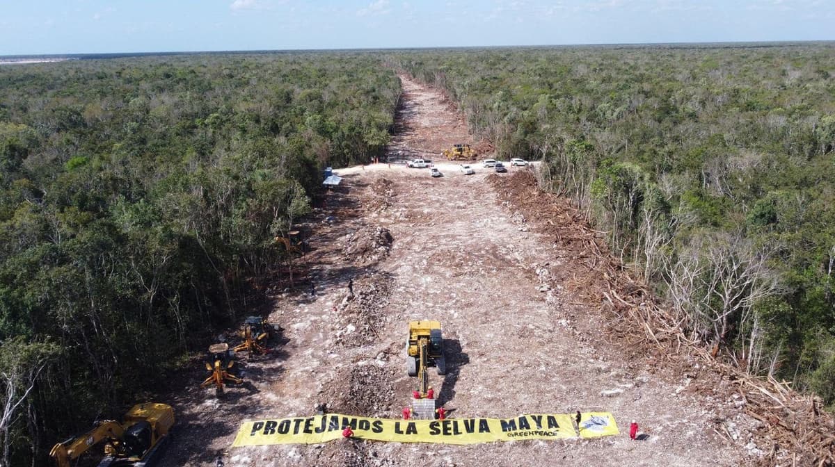 Tren Maya: Juzgado acepta demanda contra ICA, Acciona y Grupo México por daño ambiental