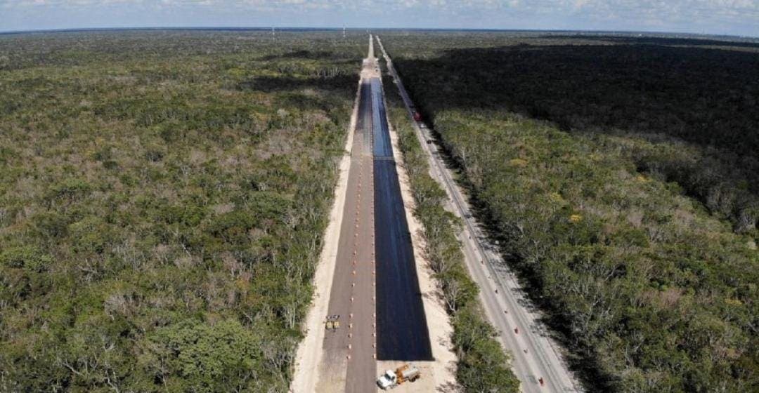 INAI ordena a Fonatur que muestre contratos sobre durmientes del Tren Maya
