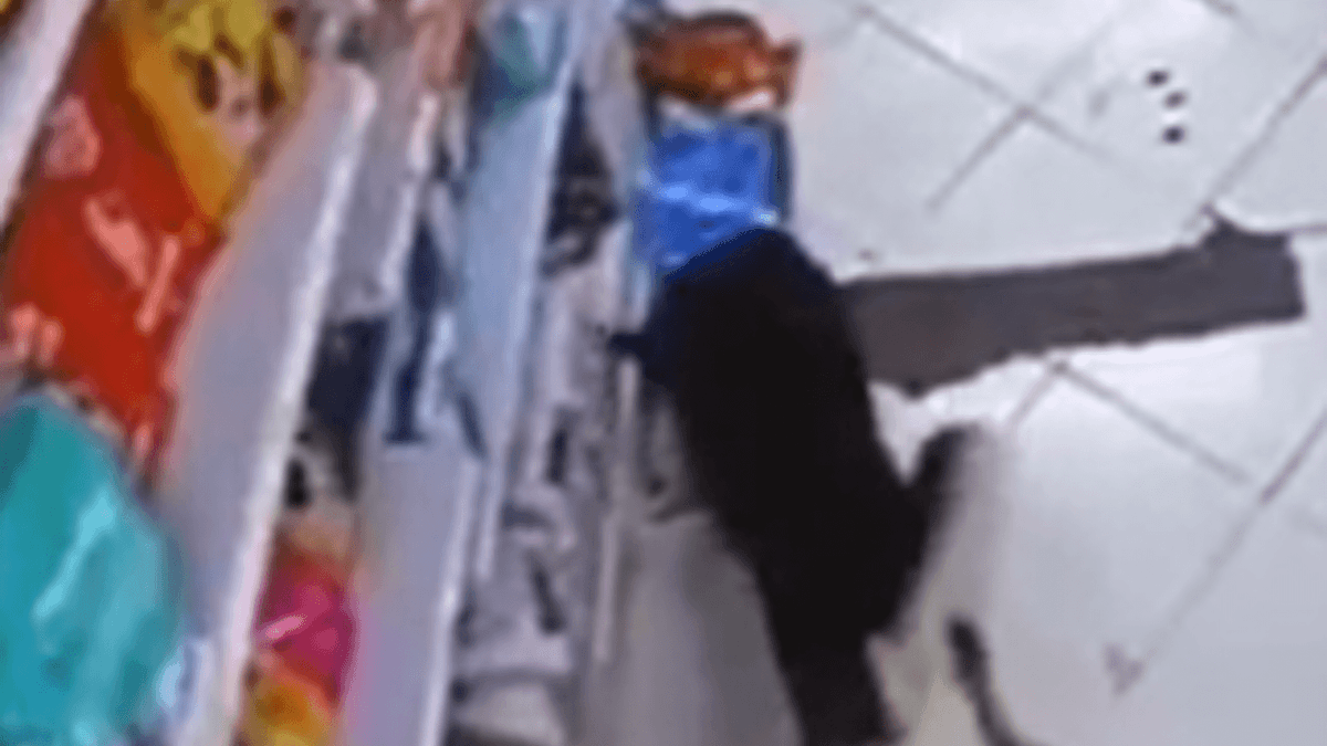 VIDEO: Perrito 'ladrón' se viraliza por llevarse una bolsa de comida de un supermercado