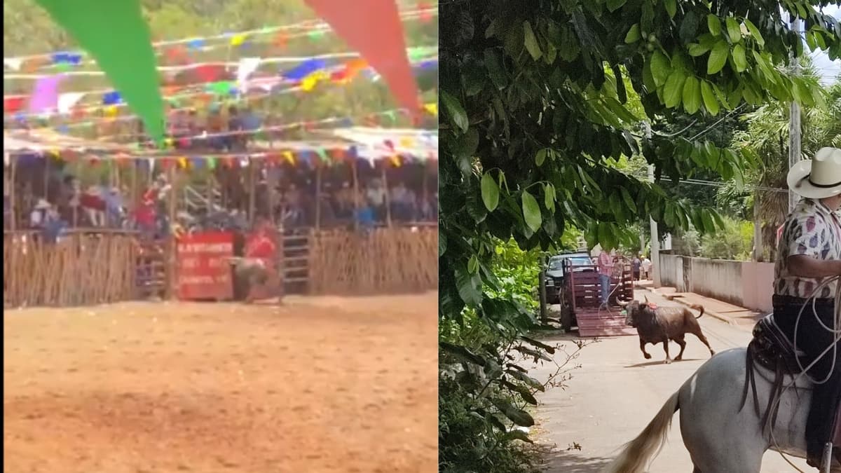 Video: Toro se escapa de una corrida en la feria de Chumayel