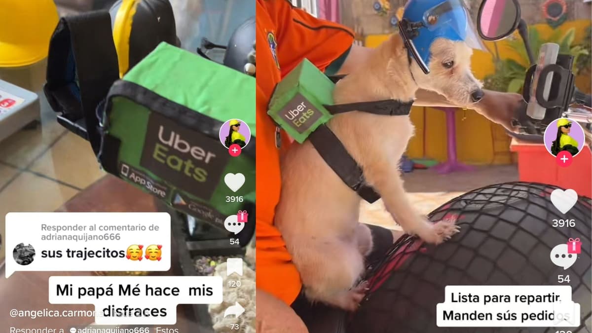 Video: Le hace casco y mochila de "Uber Eats" a su mascota