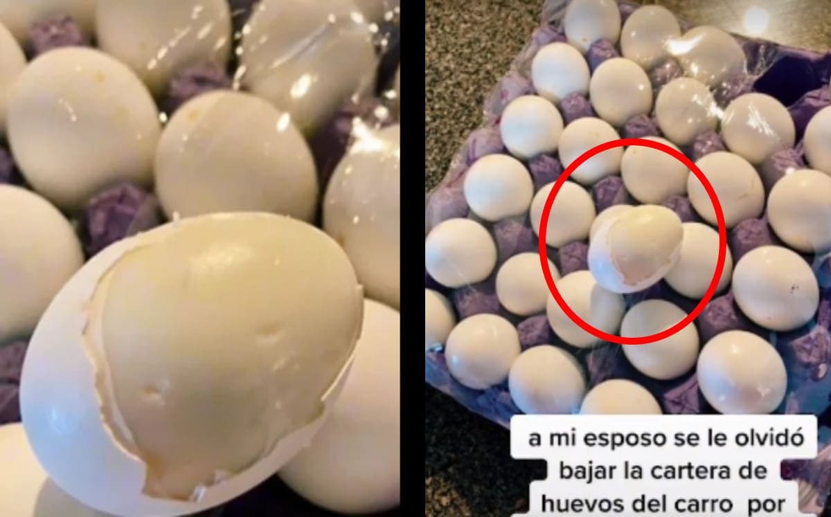 Video: Olvida los huevos dentro de carro y terminan hervidos por el calor