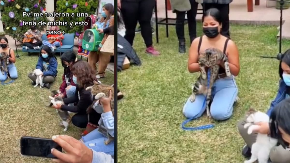 VIDEO: Jóvenes bailan "Mi bebito Fiu Fiu" en evento para gatos y se hacen viral