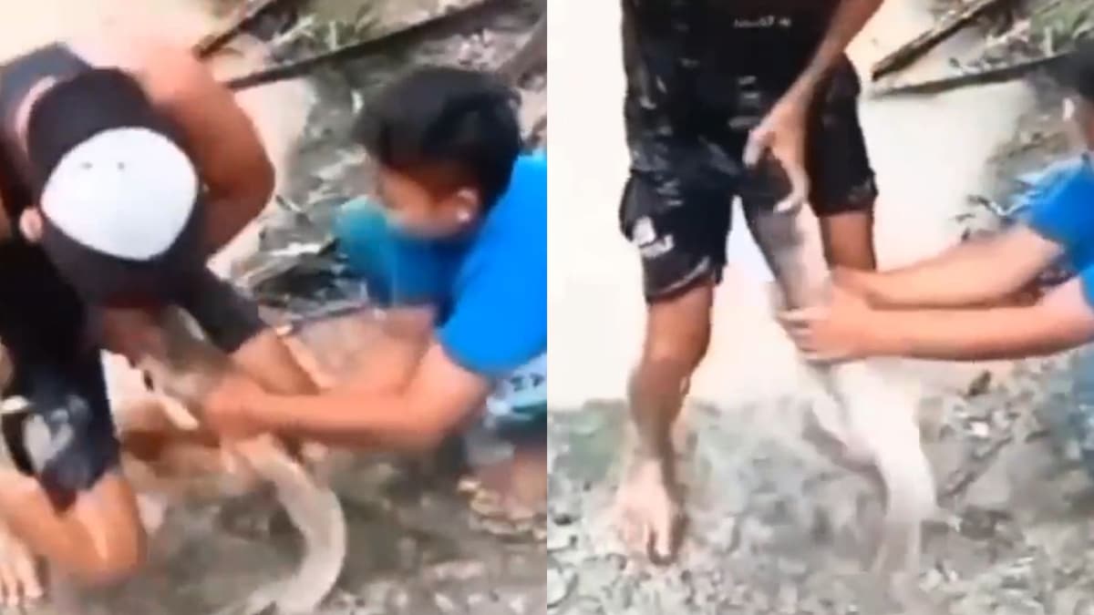 VIDEO: Todo sale mal y pez se prensa del tilín de sujeto