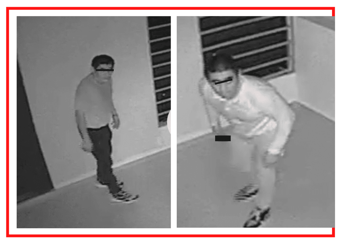 VIDEO: Sujetos que robaron vivienda en Playa del Carmen son reconocidos como acosadores de mujeres