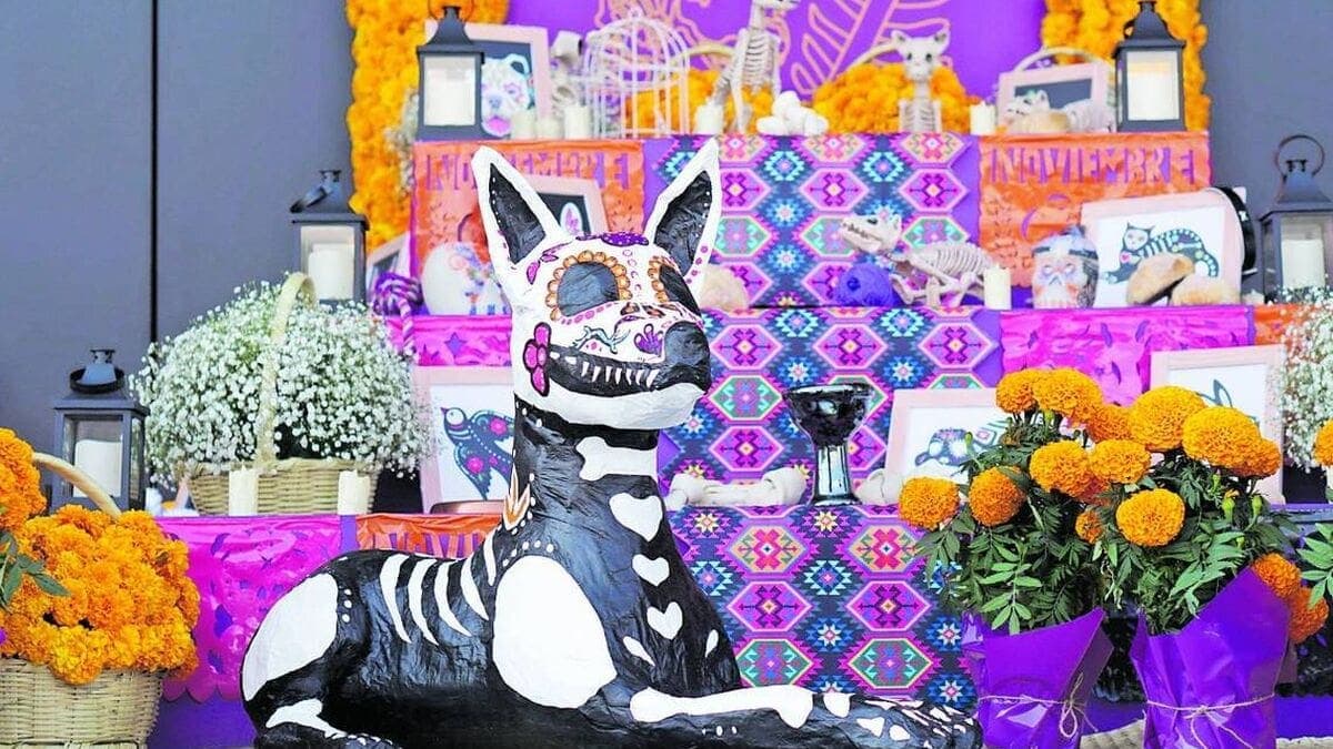 Ofrenda para mascotas: Qué elementos colocar y cuándo realizarla