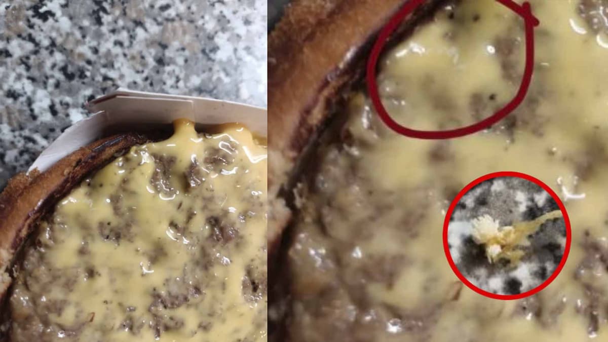 Encuentra huevos de mosca en su hamburguesa de Mcdonald's