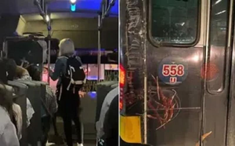 Video: Joven se equivoca de autobús y es agredida por el conductor en Veracruz