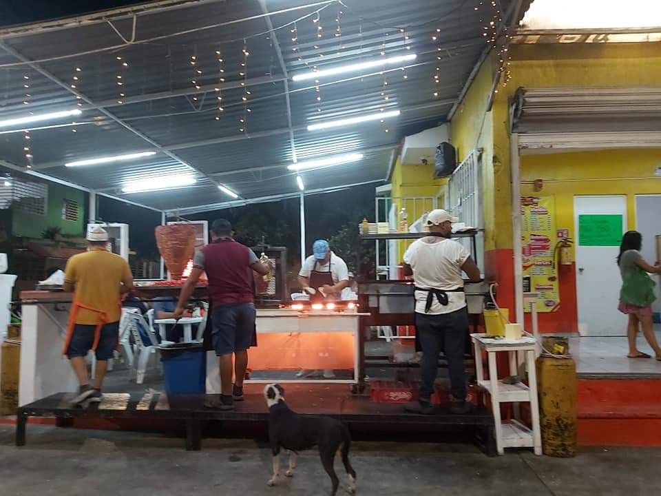 "Pateaban a la perrita": Denuncian en redes a taquería en Playa del Carmen por maltrato animal