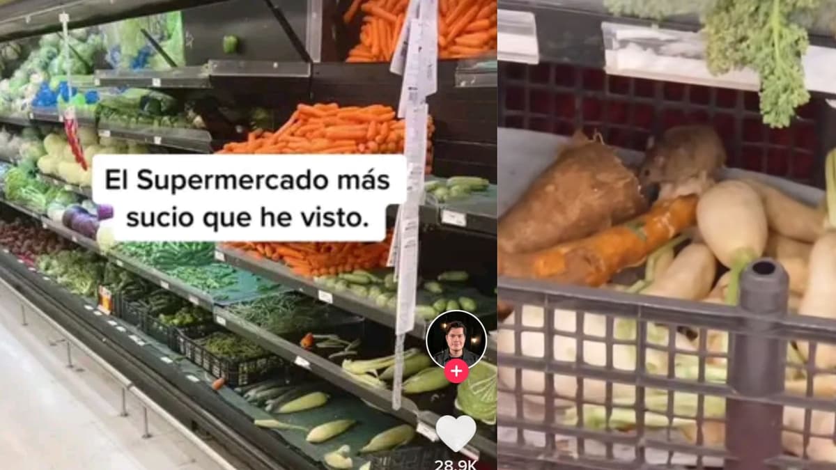 VIDEO: Captan un "Ratatouille" en el área de verduras de Soriana