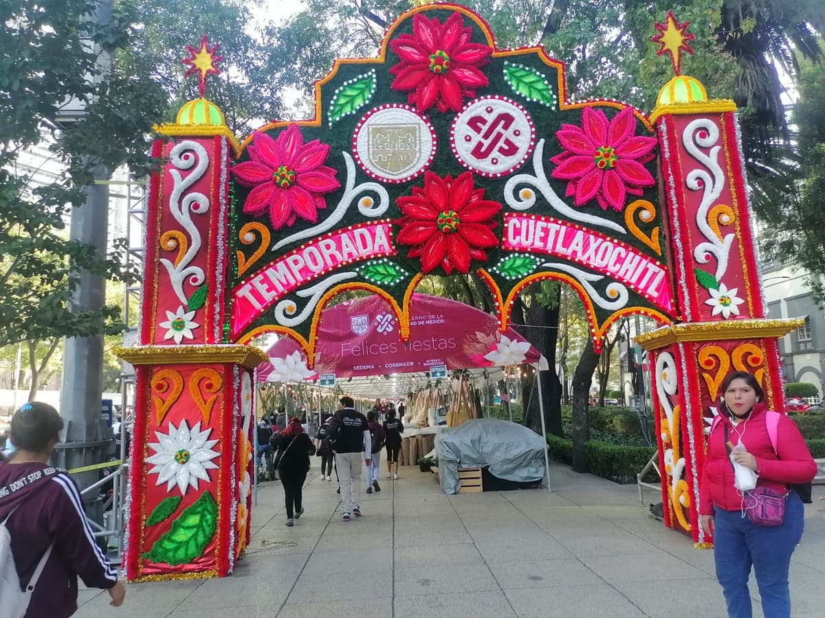 Se llena de Nochebuenas la CDMX