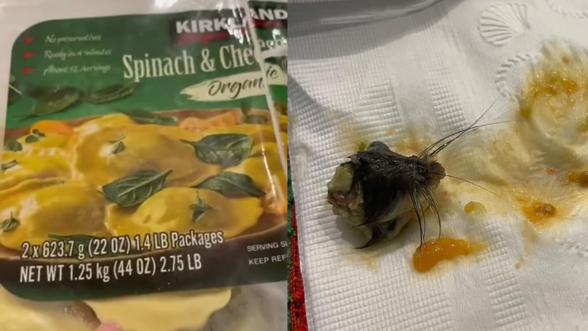 VIDEO: Compra unos raviolis congelados y encuentra dentro la cabeza de un ratón