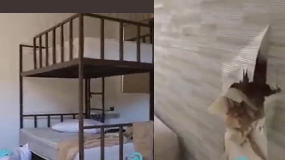 VIDEO: Exhiben casa saqueada donde vivía Ovidio Guzmán junto a su familia