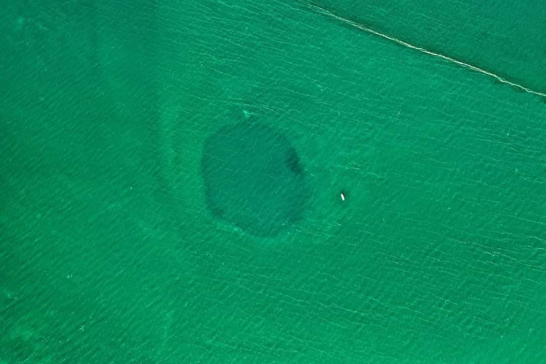 Declaran agujero azul 'Taam ja' de Chetumal como el segundo más grande del mundo