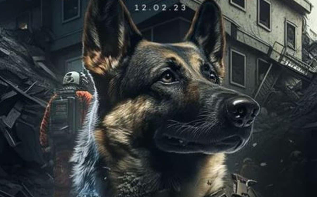 Turquía creará refugio para animales y estatua en honor a Proteo, perro rescatista mexicano