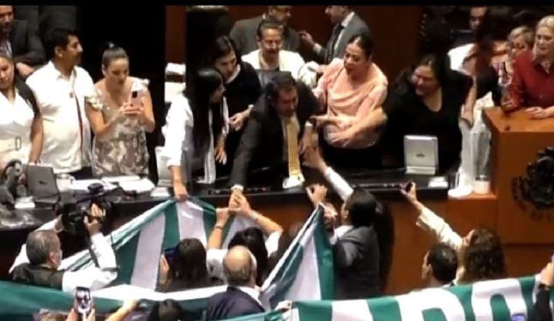 Video: Entre manazos, gritos y empujones se pelean en el Senado por el INAI