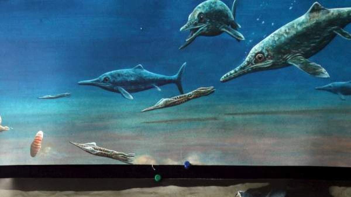 Encontraron los fósiles más antiguos de un enorme reptil marino en el Ártico