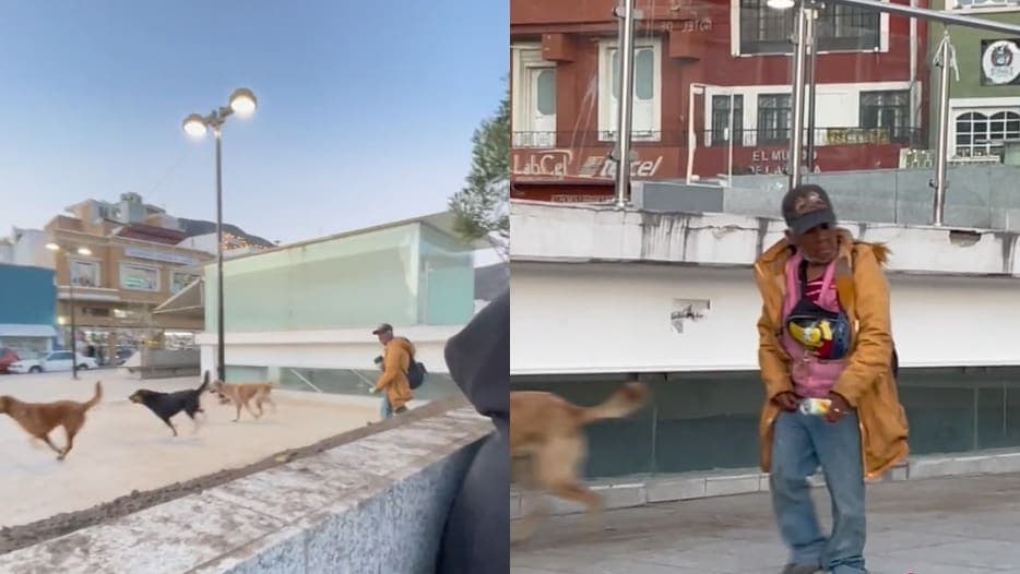 Video: Señora entrena a ejército de perros para acosar skaters