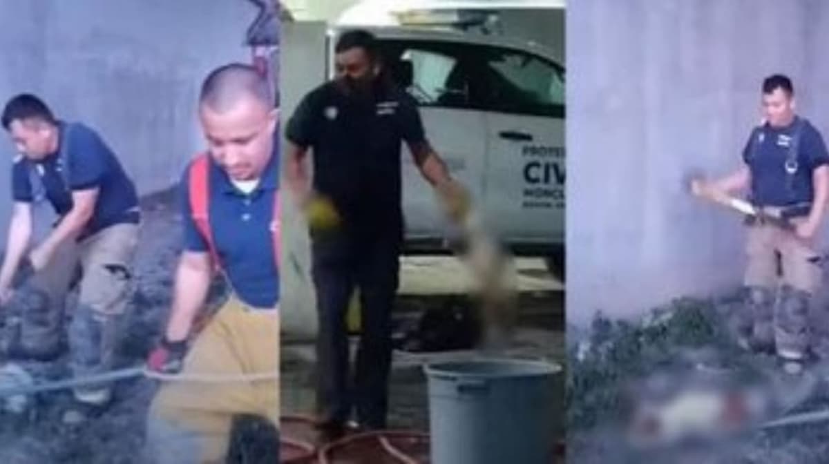Exhiben a bomberos de Monclova torturando y asesinando a perritos