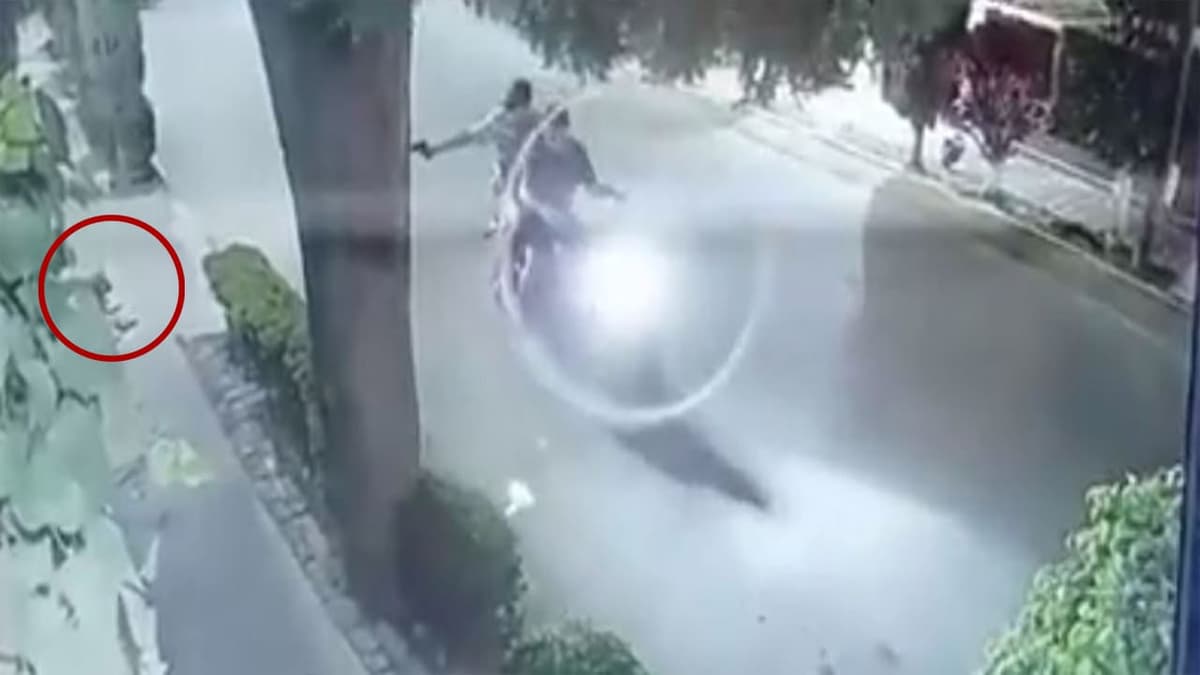 VIDEO: Motociclistas le disparan a perrita que dormía en calles de Edomex