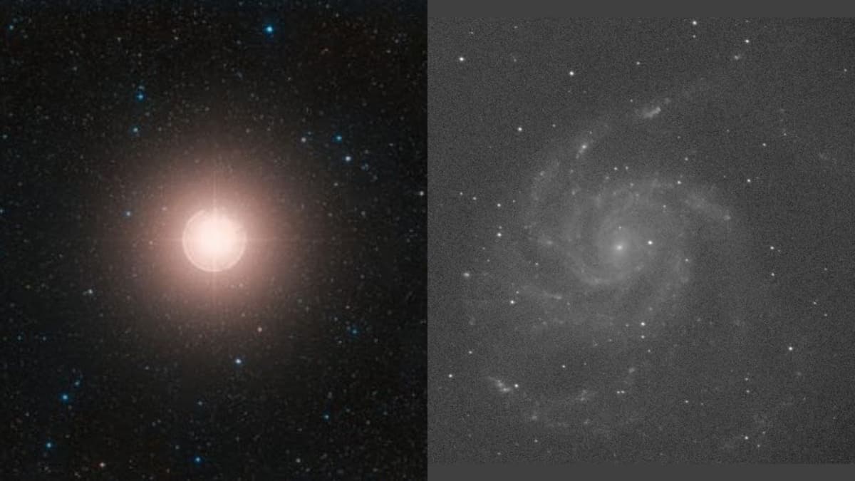 Video: Astrónomos descubren la explosión de supernova más cercana a la Tierra en la última década