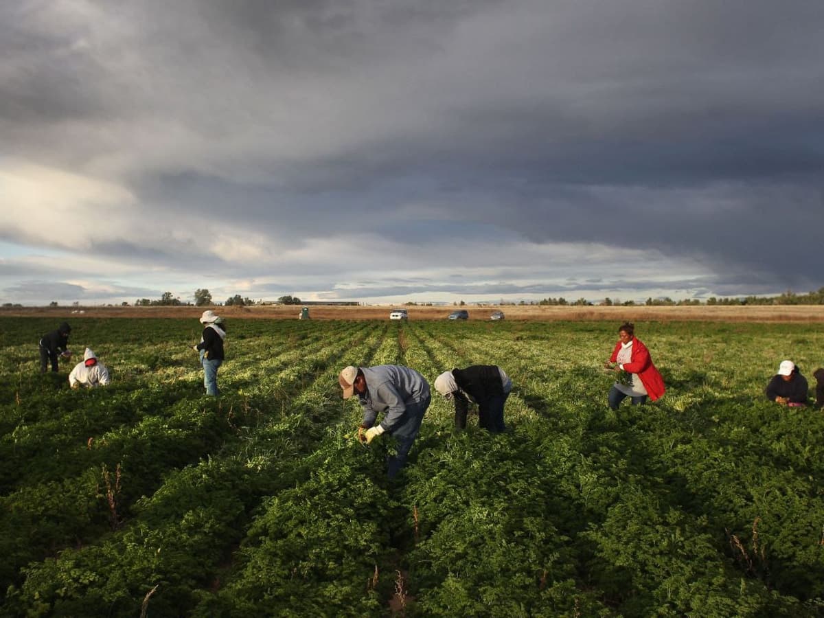 Florida se 'paraliza' por ley antimigrante; se queda sin trabajadores