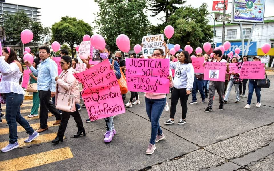 Exigen justicia para Sol, perrita atropellada y rematada en Xalapa, Veracruz