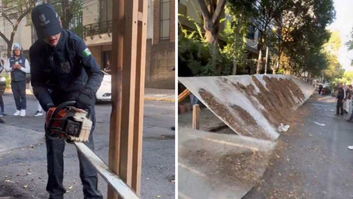 Sandra Cuevas corta pérgolas ilegales de restaurantes con una motosierra