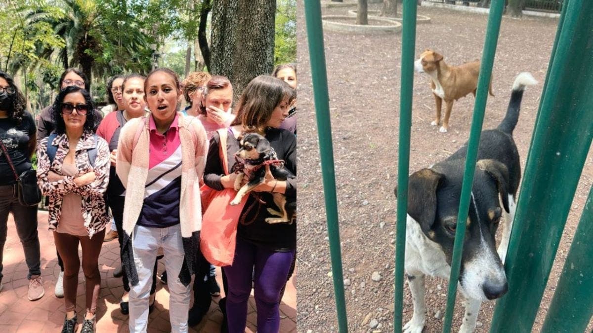 Sandra Cuevas prohíbe adopciones de perros en Parque México, CDMX