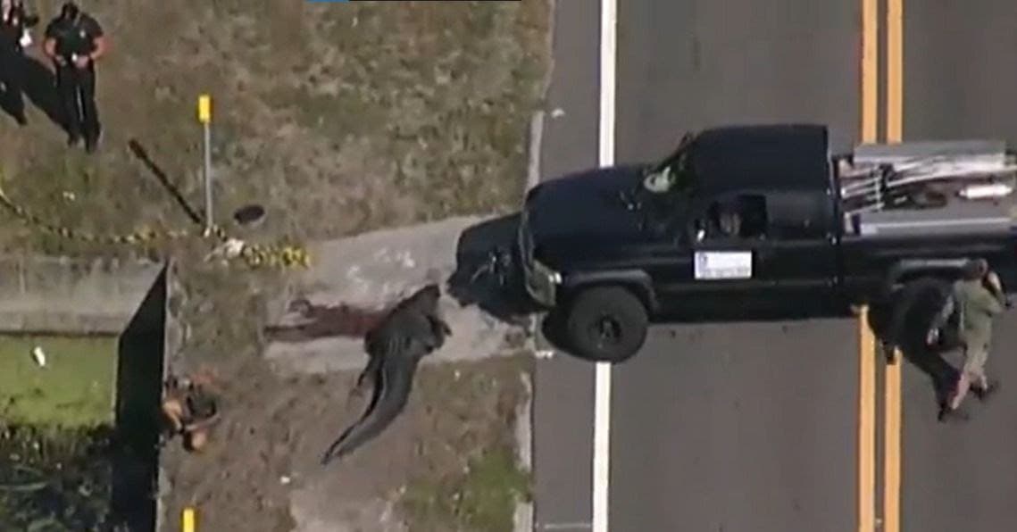 Mujer es devorada por un caimán en Florida; "nadie merece morir así", dice su hija