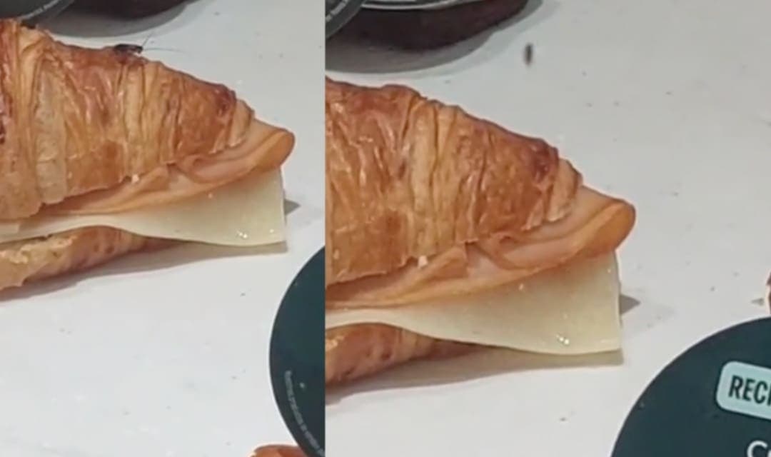 VIDEO: Captan a cucaracha entre la comida de Starbucks