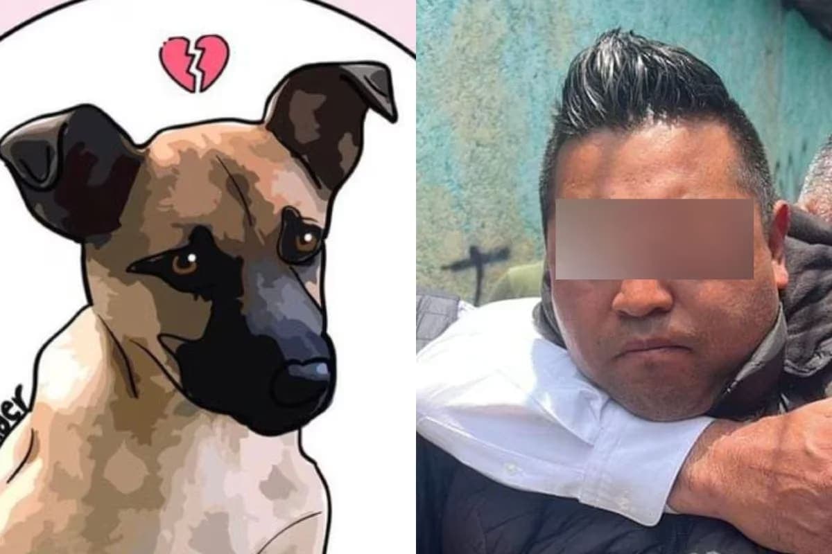 Sujeto que arrojó al perrito en aceite hirviendo fue sentenciado a 5 años de cárcel