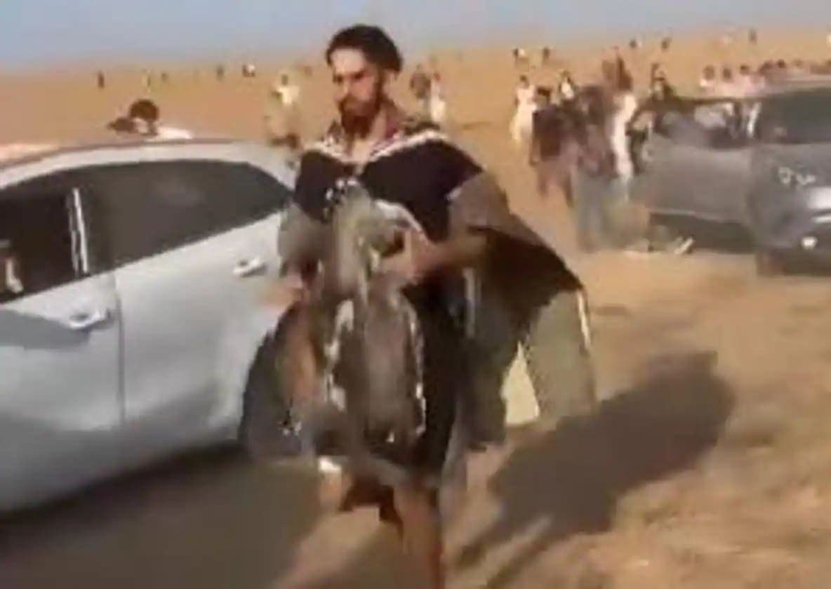 Israel anunció que descubrió más 250 cuerpos en un festival de música por la paz tras ataque de Hamás