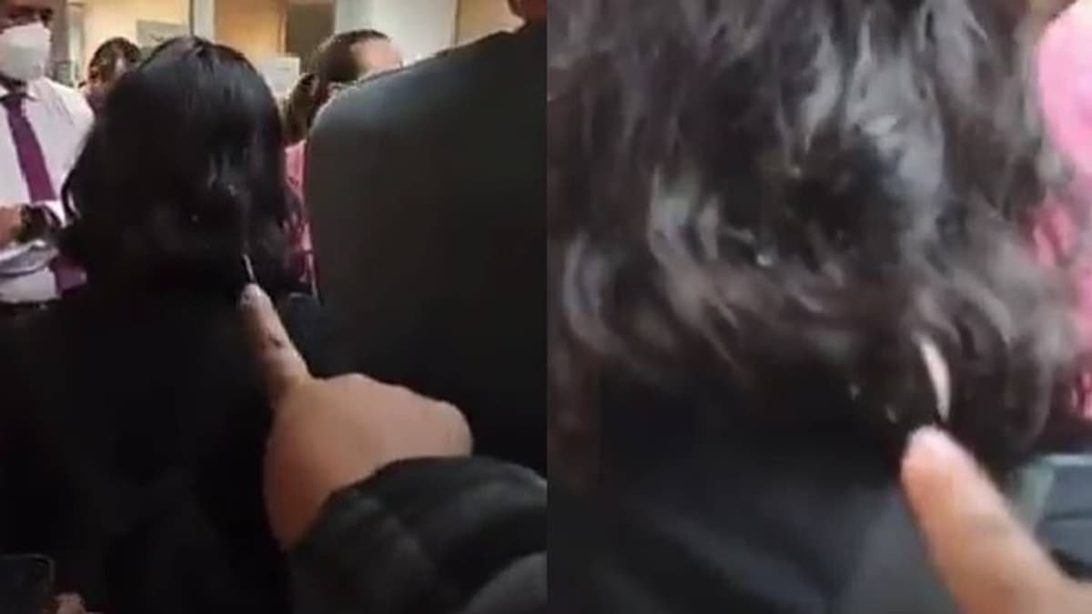 VIDEO: Chinche recorre el cabello de alumna en plena discusión para cerrar la UNAM por la plaga