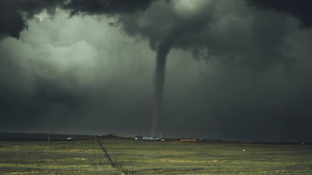 Encuentran vivo a un bebé en un árbol tras ser arrastrado por un tornado