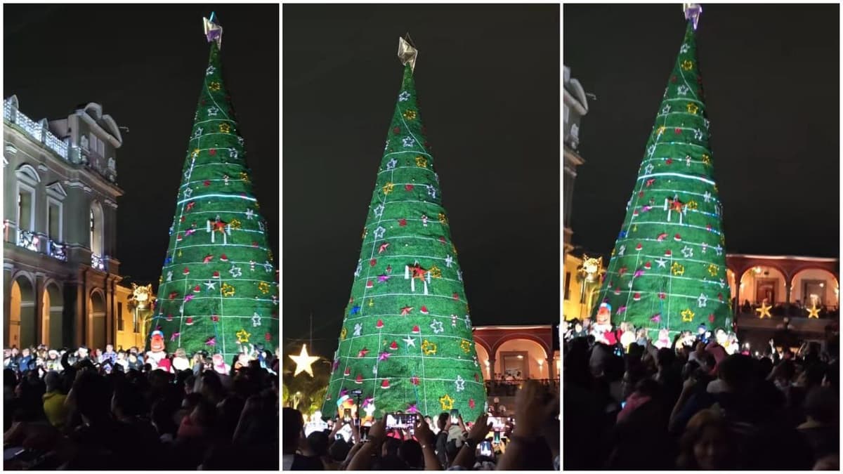 Video: Internautas critican árbol de Navidad en Córdoba, Veracruz; lo reemplazan tras las burlas