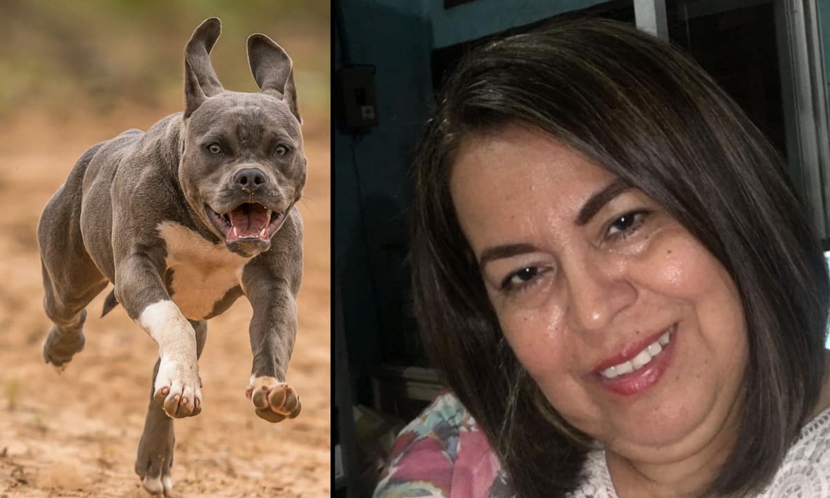 Defensora de animales murió tras ser atacada por sus dos perros pitbull