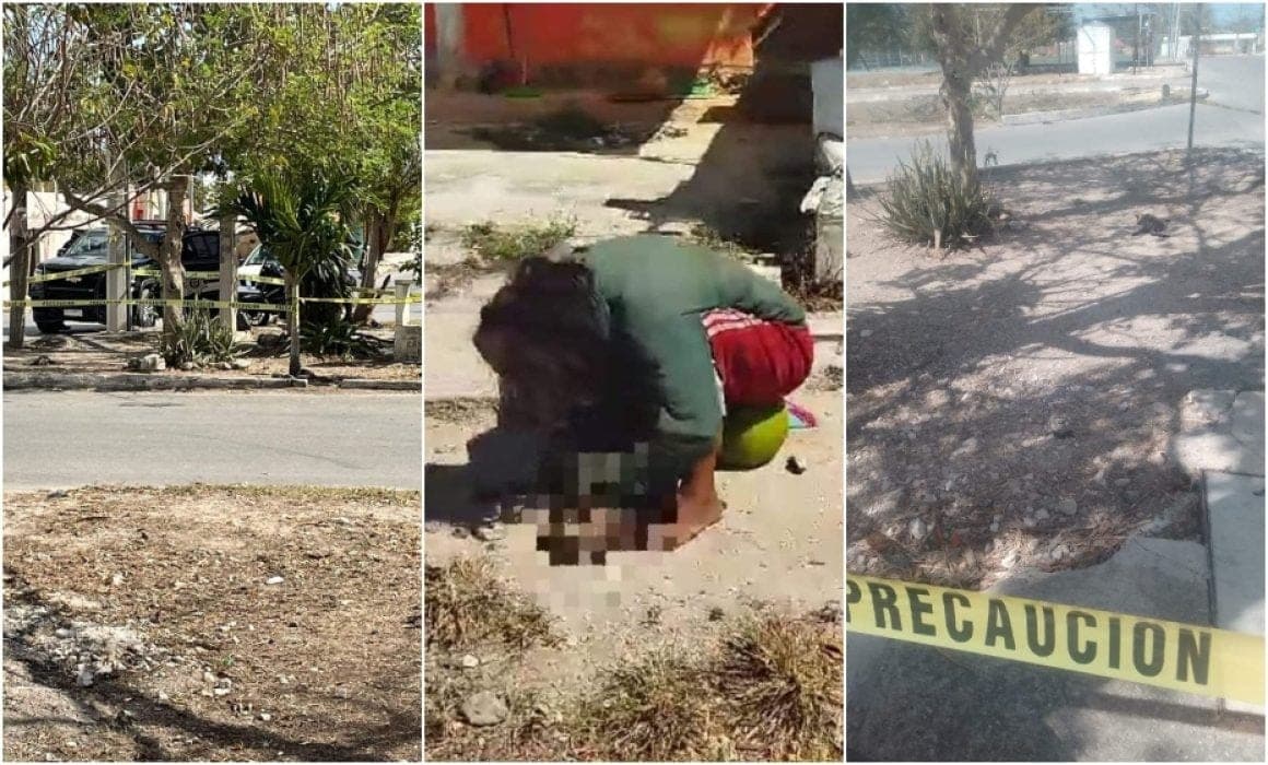 VIDEO: Captan a mujer comiéndose un gato muerto en Yucatán