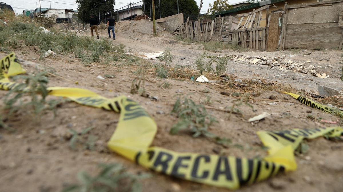 Reportan 183 mil 272 homicidios dolosos durante el sexenio de Lopéz Obrador