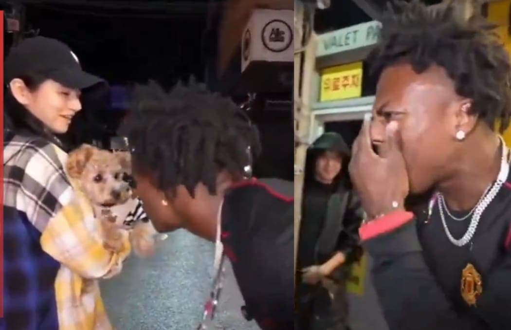 VIDEO: Youtuber es mordido en la cara por un perro tras gritarle y molestarlo