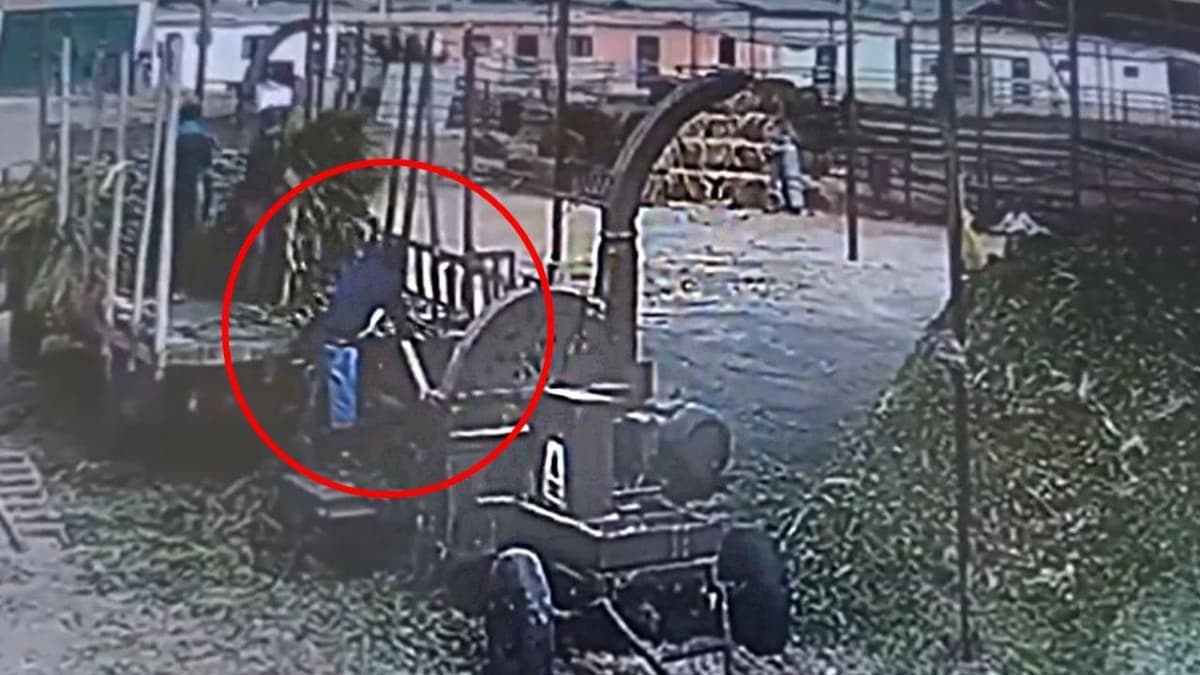 VIDEO: Muere trabajador tras caer en una máquina trituradora de alimentos