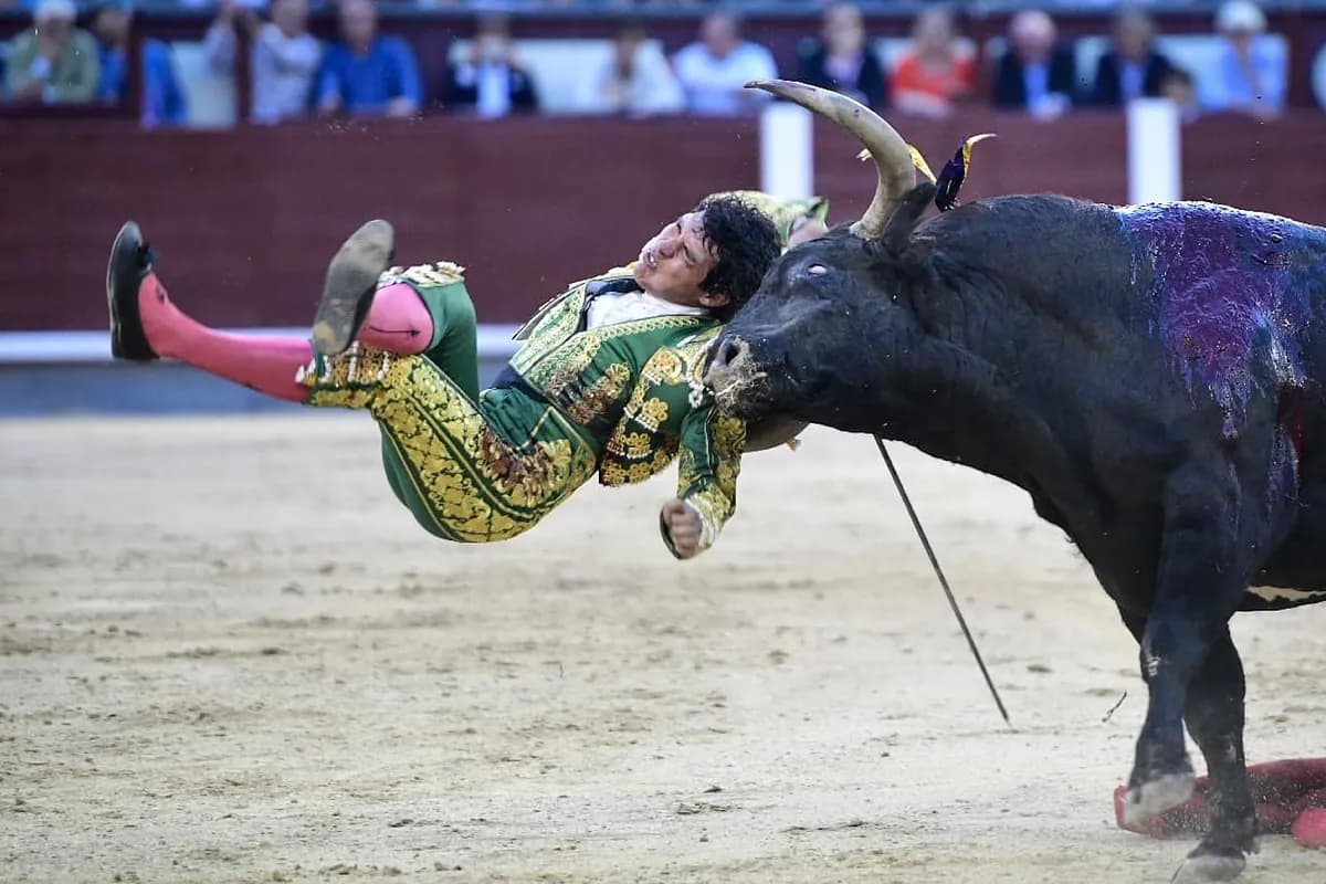 Video: El torero mexicano Isaac Fonseca sufre cornada de 20 centímetros por la espalda en Madrid