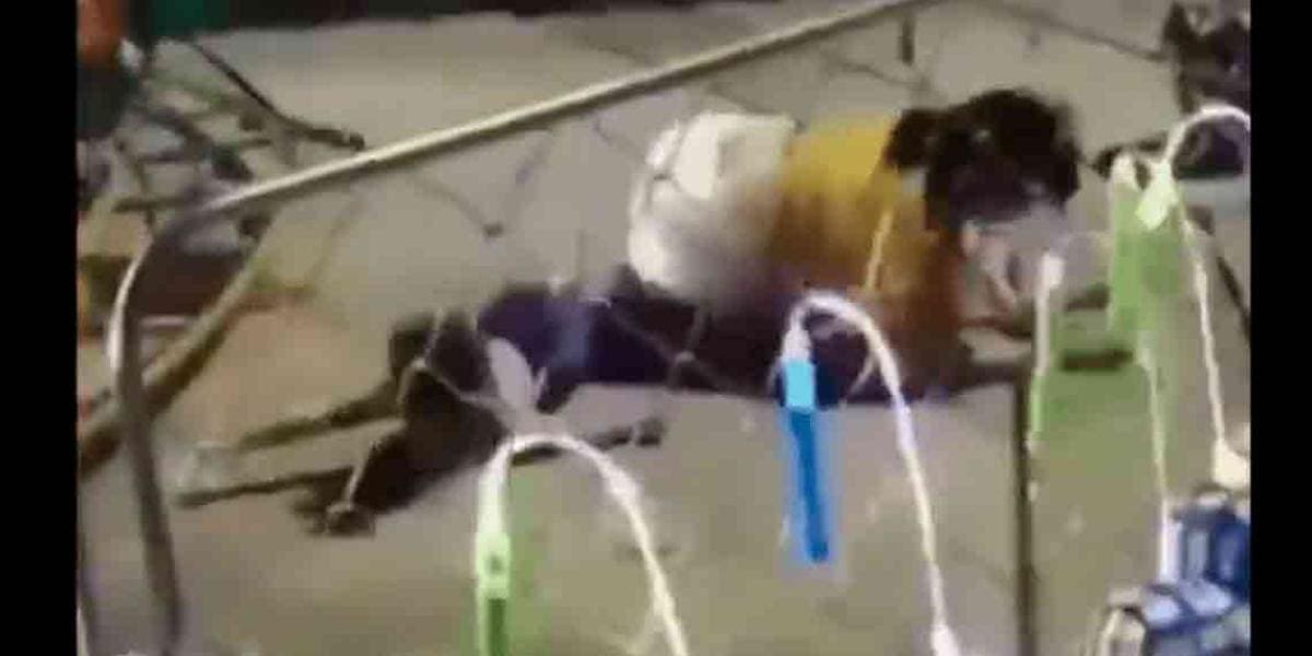 VIDEO: Madre e hijo salen volando de juego mecánico al que se le salió una tuerca