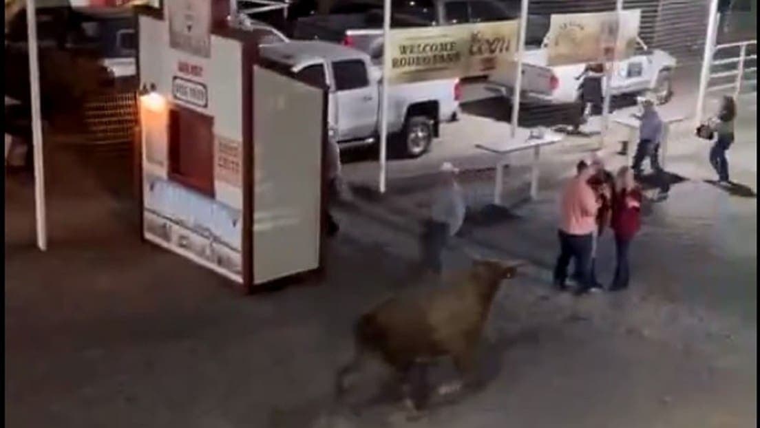Video: Toro de rodeo salta una valla y hiere a 3 personas