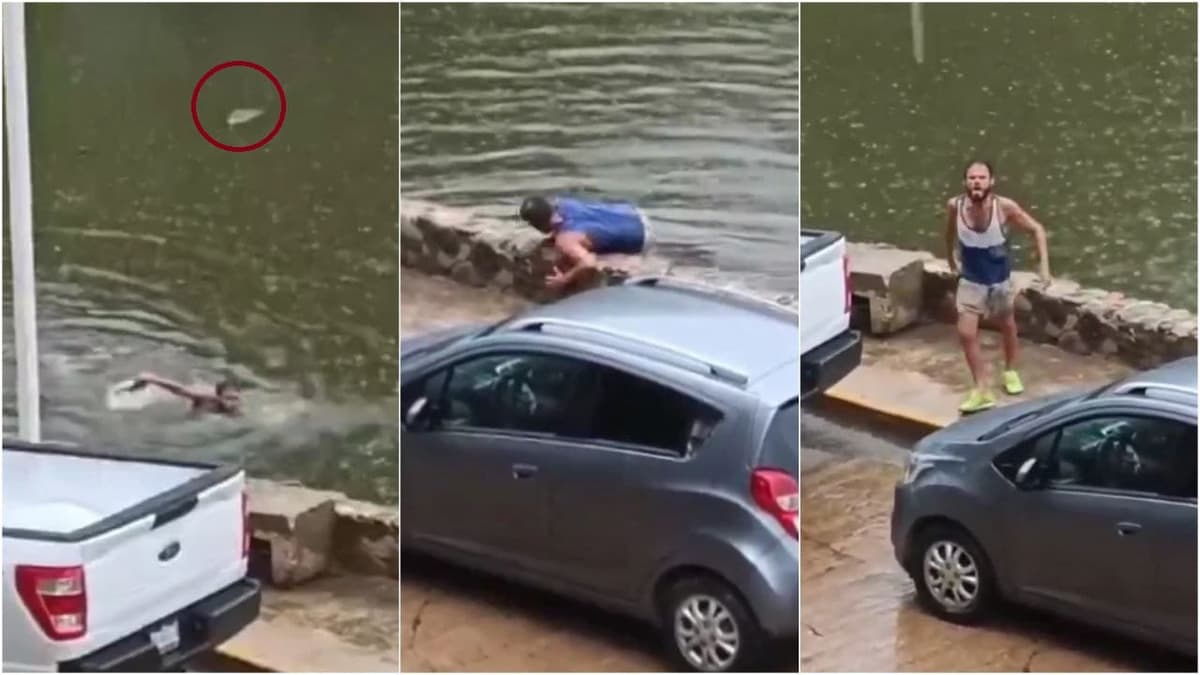 Video: Hombre se salva de ser devorado por 7 cocodrilos en laguna de Tabasco