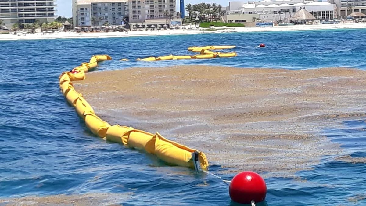 Adquieren 3 mil 750 metros de barrera antisargazo para Quintana Roo; serán entregadas entre septiembre y octubre